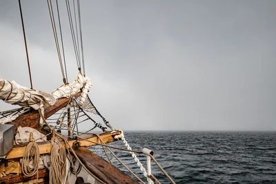 Blue Foot Pirate Adventures