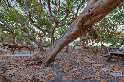 Hugh Taylor Birch State Park